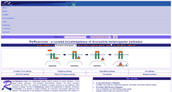 Desktop Screenshot of fly.reactome.org